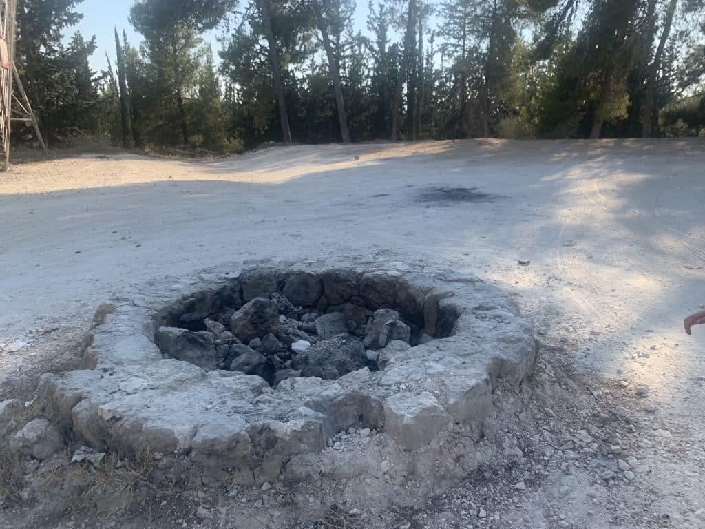 יער המגינים - טיול בשפלה