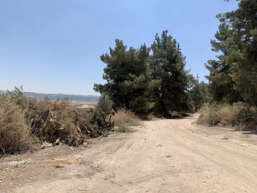 תצפית מאגר איילון