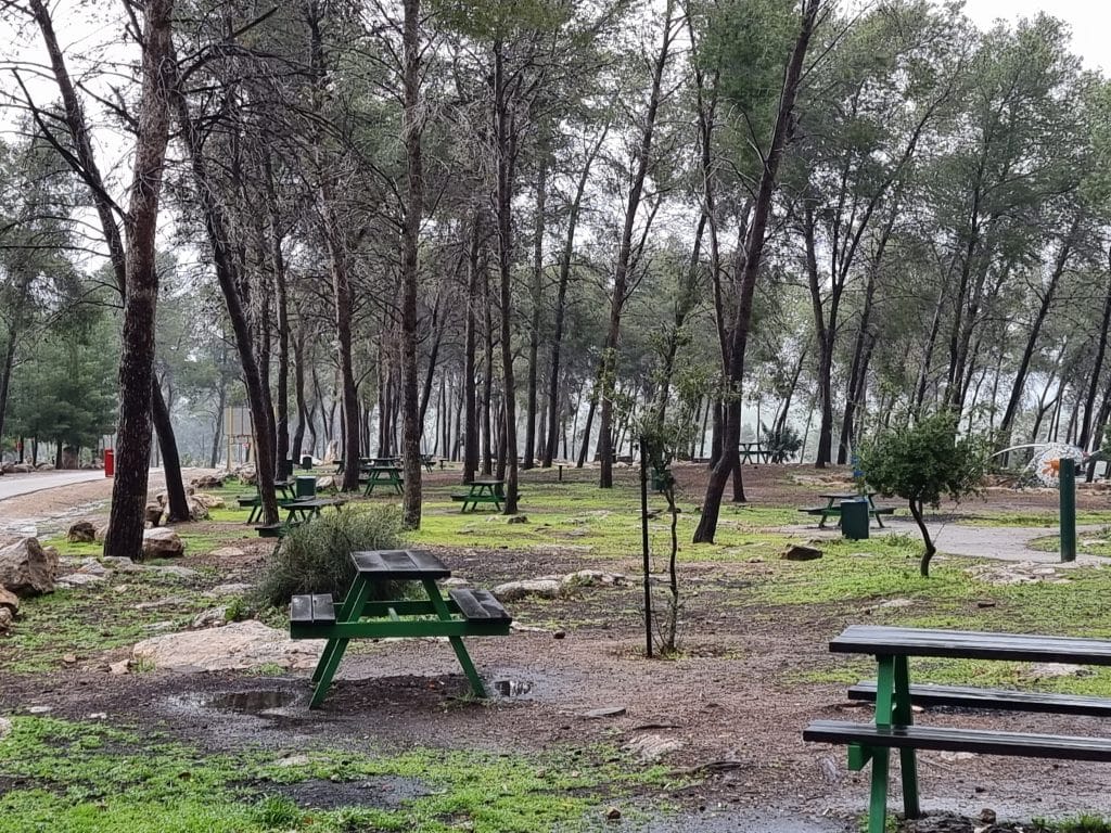 יער המלאכים שחריה שולחנות פיקניק