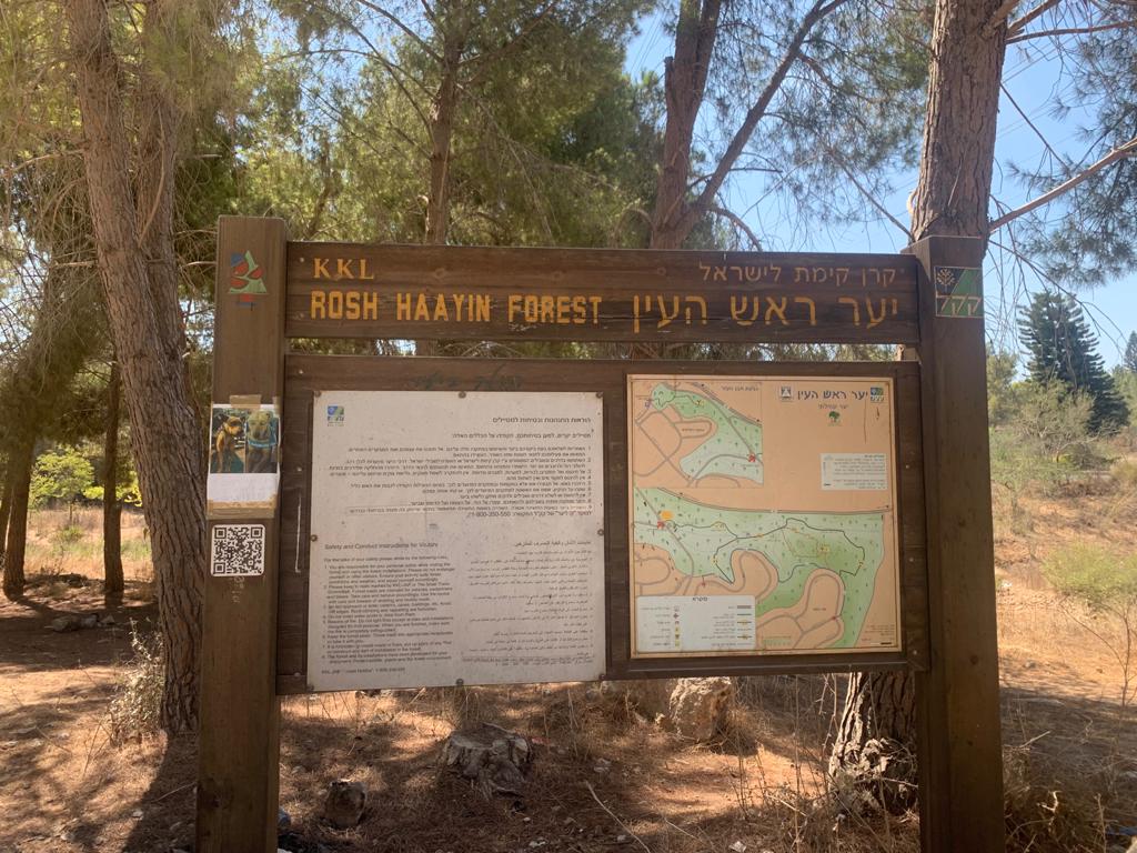 יער ראש העין