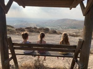 מצפה שמש יער צרעה