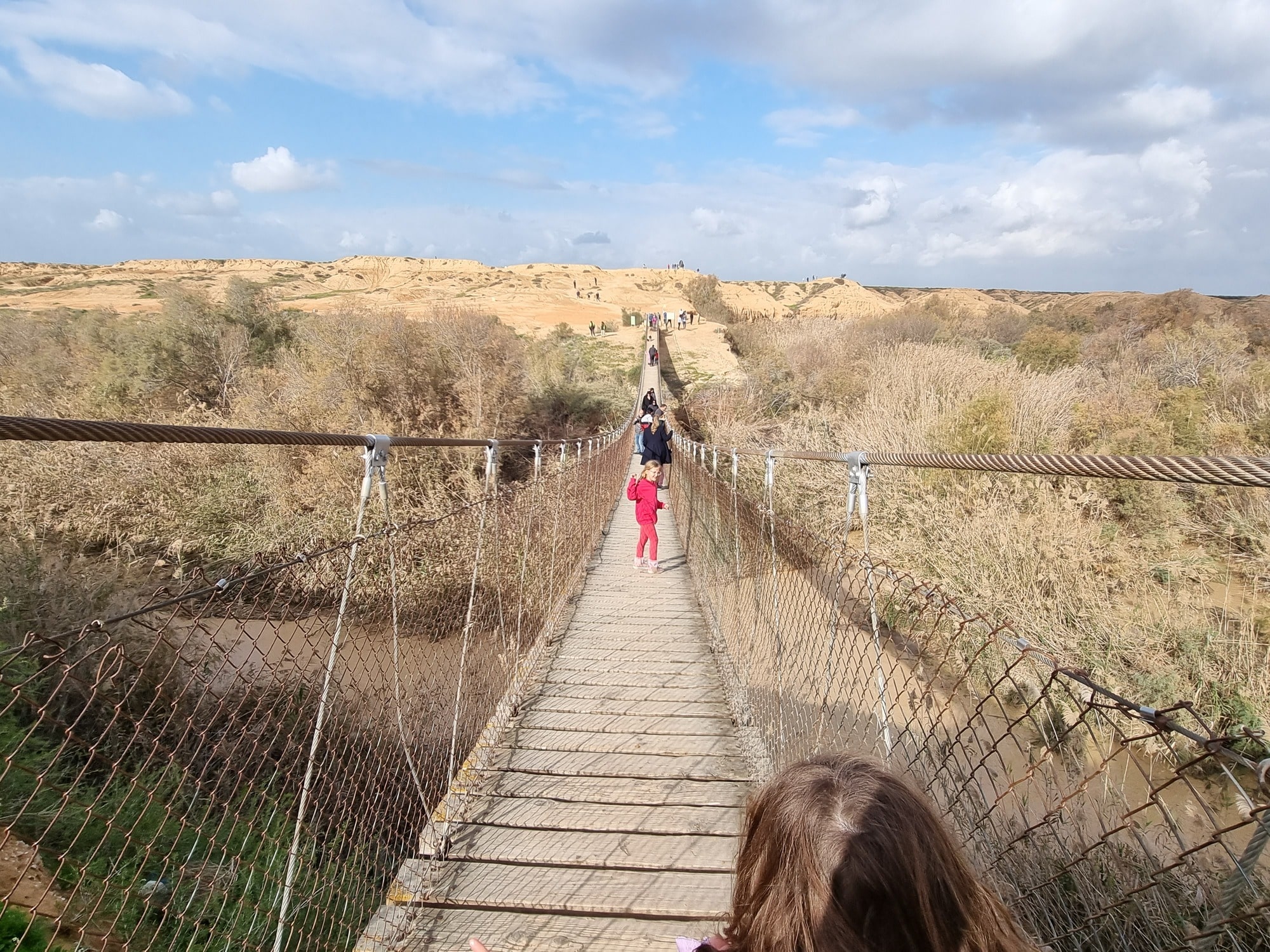 גשר תלוי על הבשור