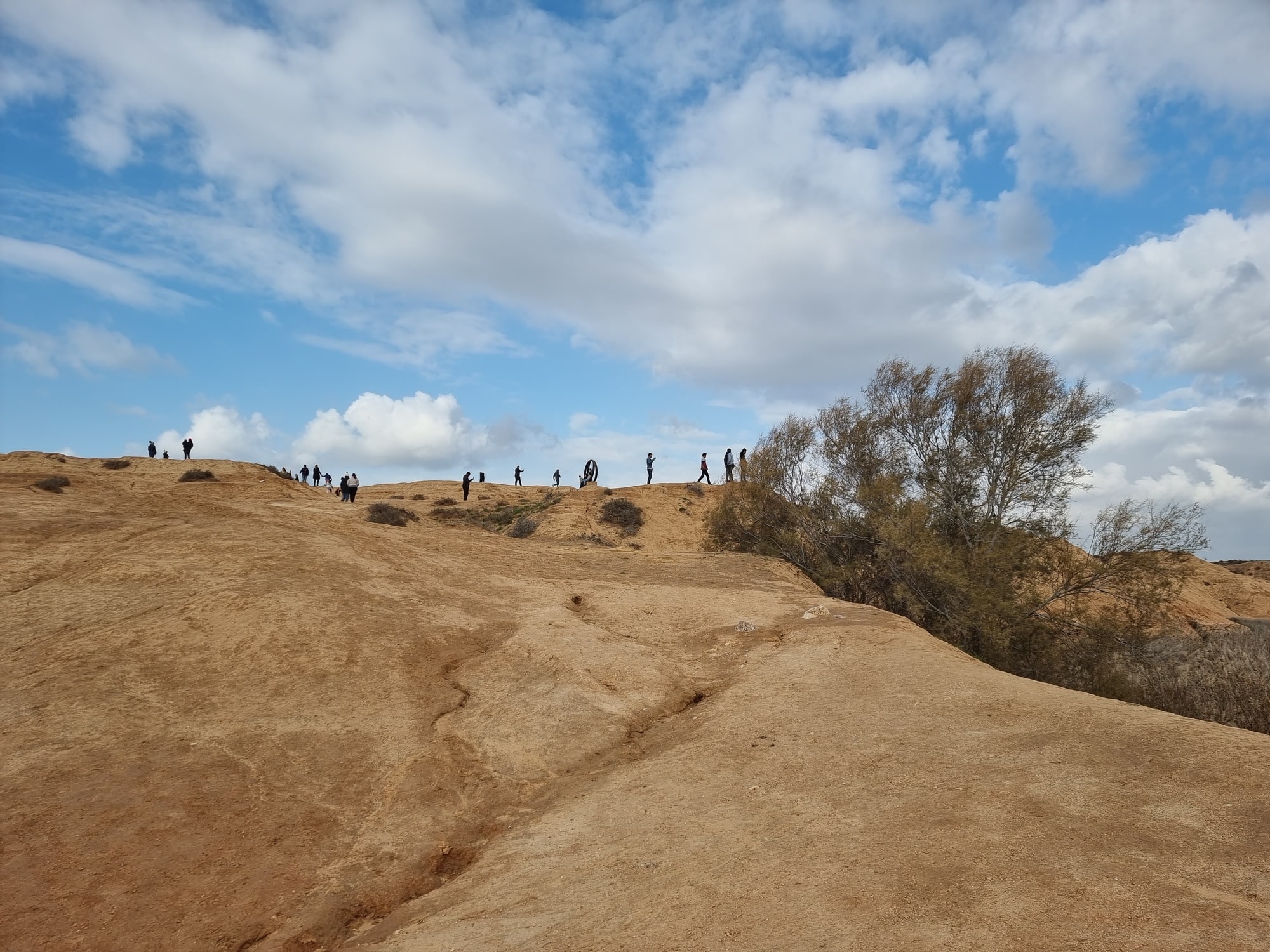 גשר תלוי על הבשור