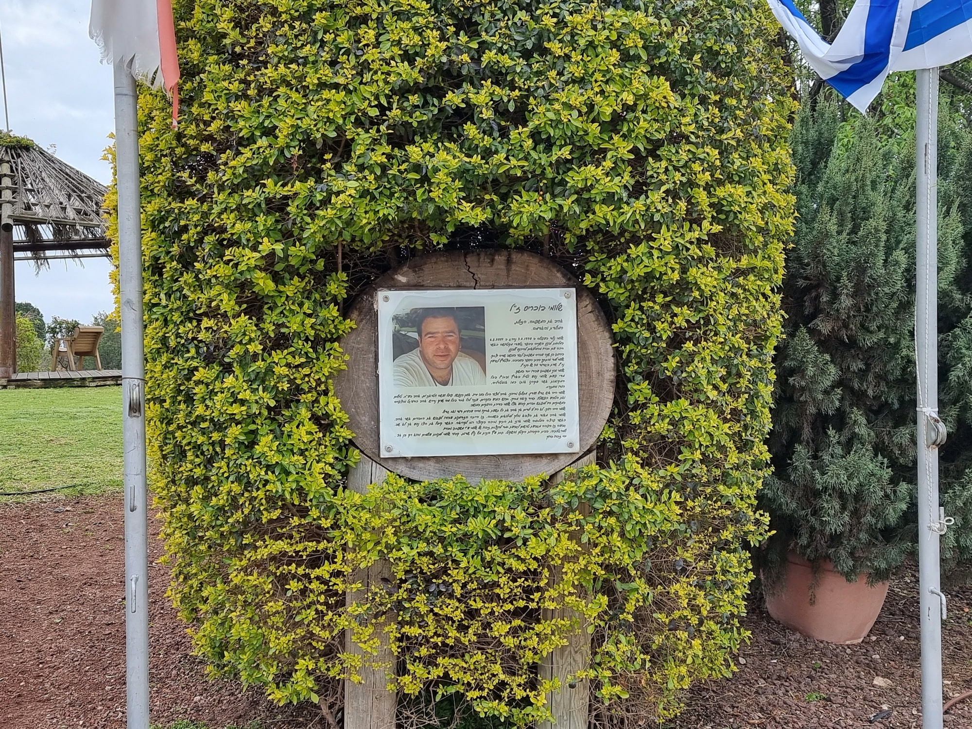 הגבעה של שלומי