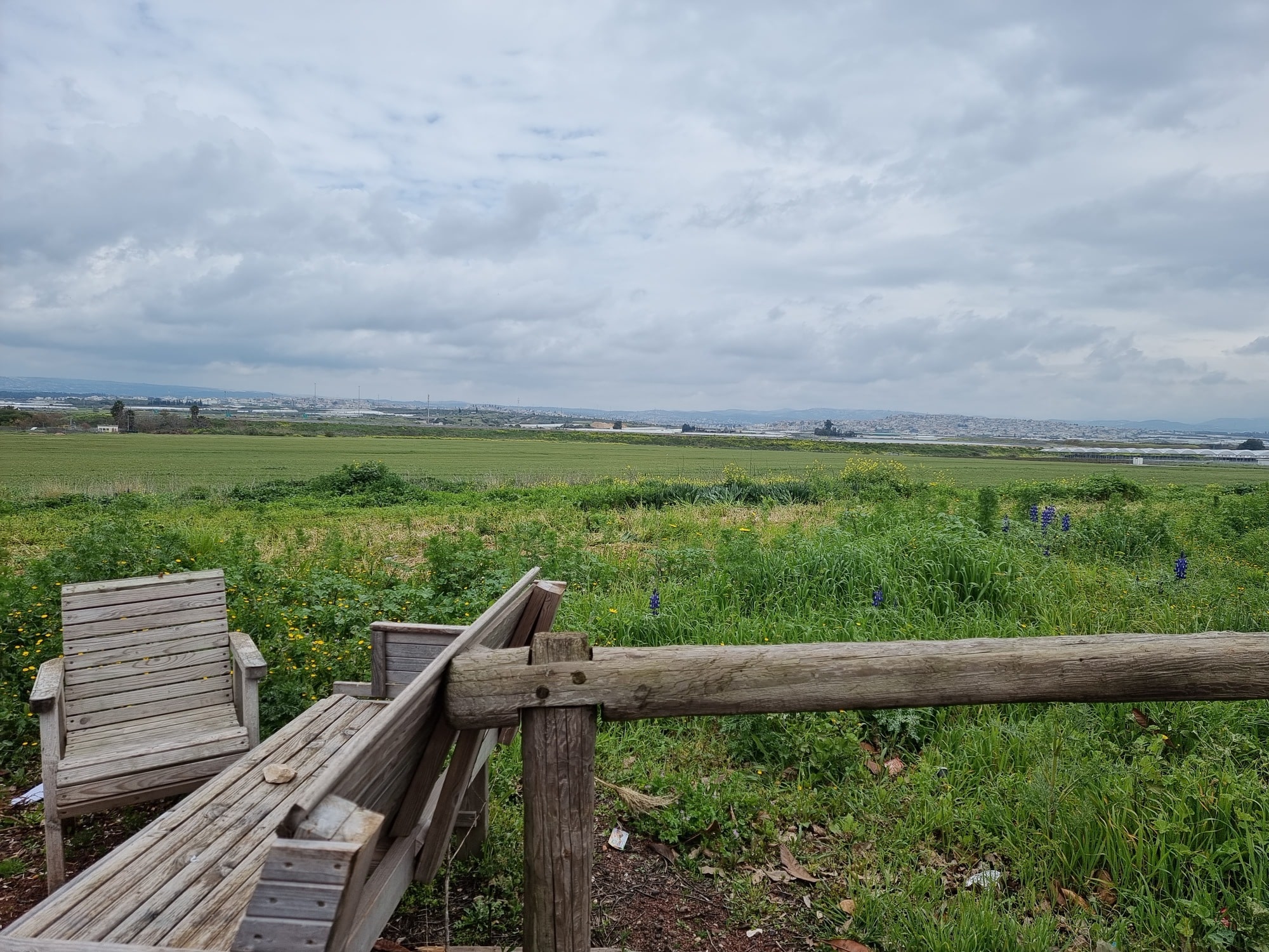 הגבעה של שלומי