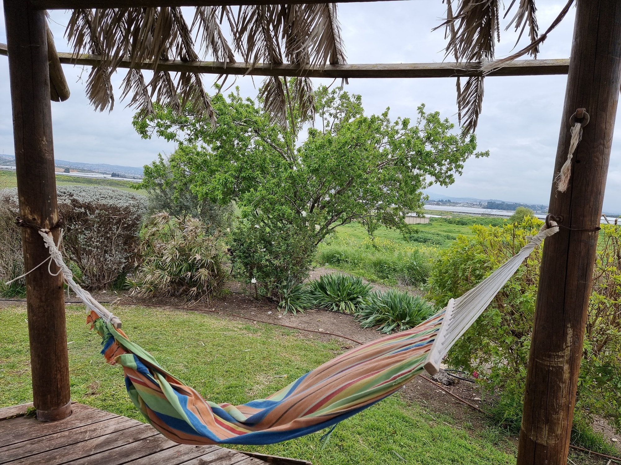 הגבעה של שלומי