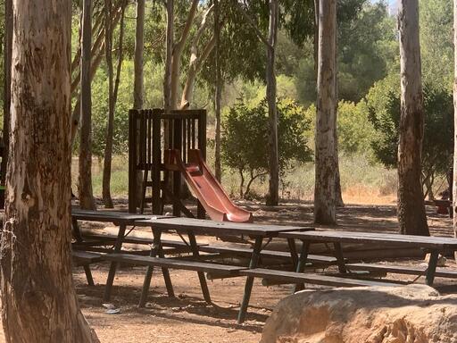 יער ראש העין