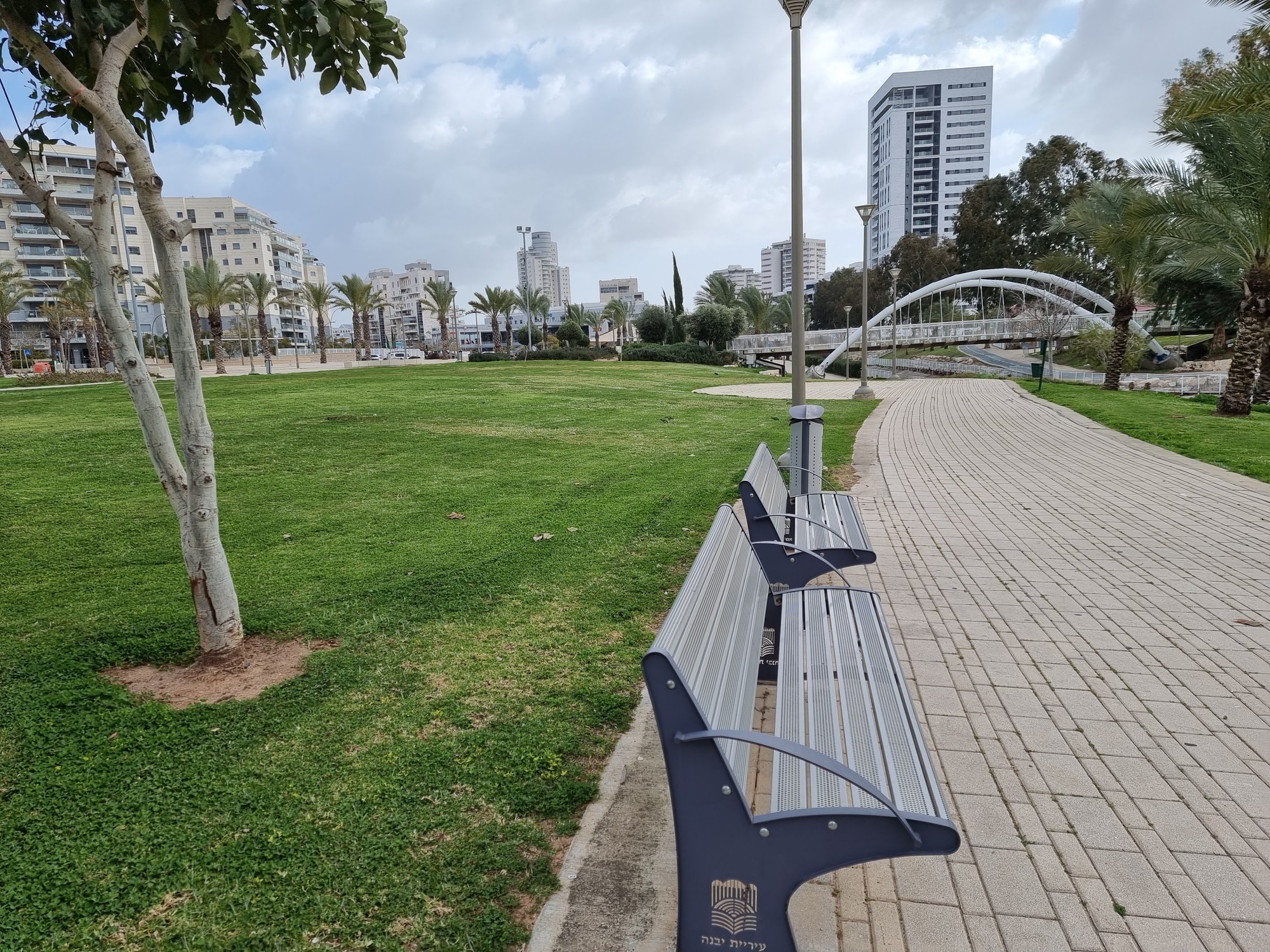 פארק תדהר יבנה מדשאות