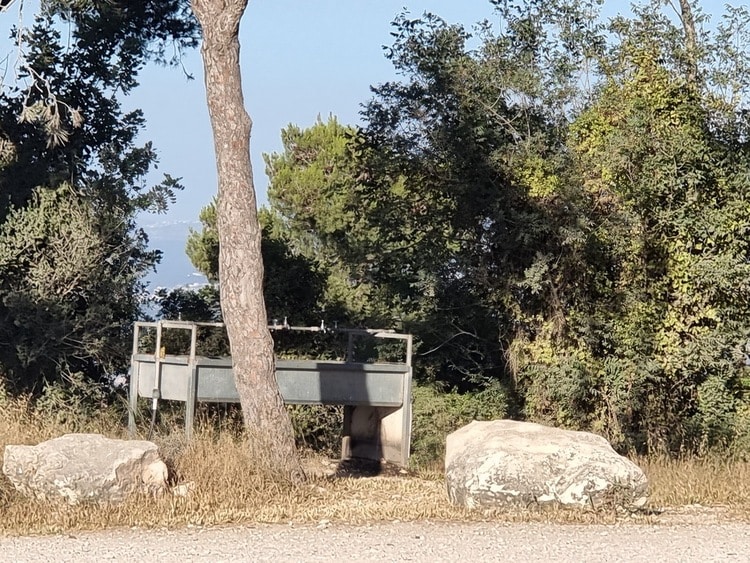 חורשת הארבעים ברז מים