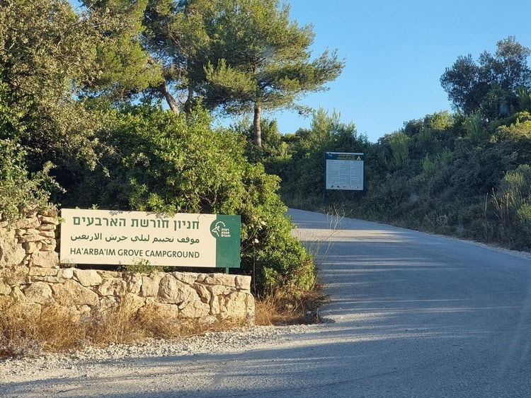חורשת הארבעים כניסה