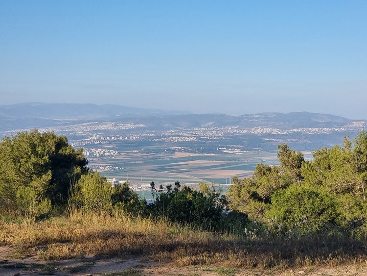 חורשת הארבעים נוף