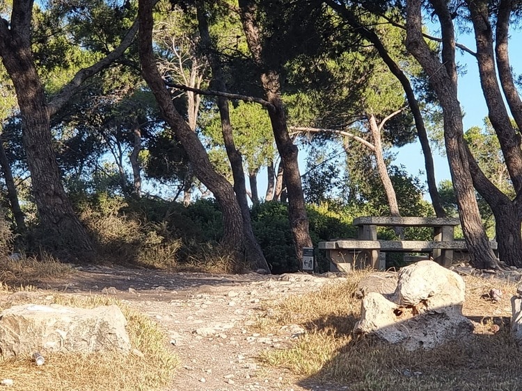 חורשת הארבעים שולחנות פיקניק