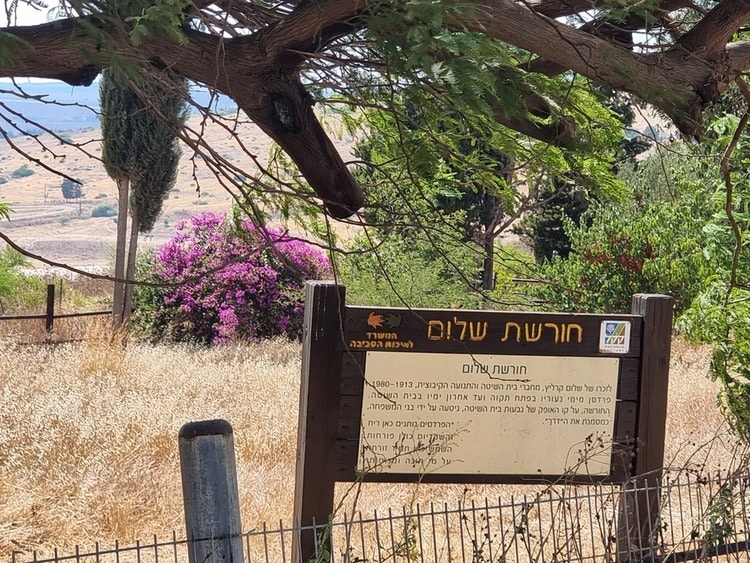 חורשת שלום מידע
