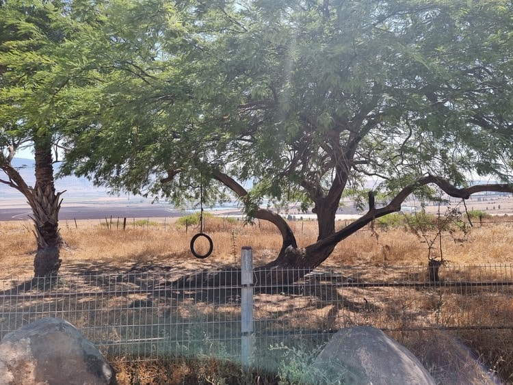 חורשת שלום נוף