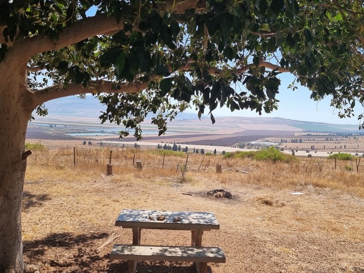 חורשת שלום שולחן פיקניק