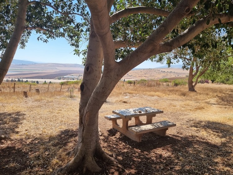חורשת שלום