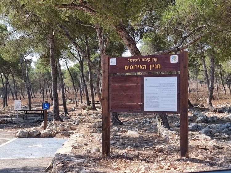 חניון האירוסים