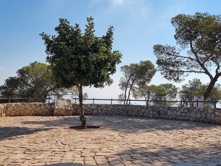 חניון ומצפור הר שאול 2
