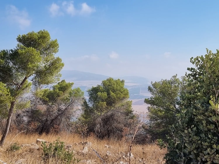 חניון ומצפור הר שאול נוף 2