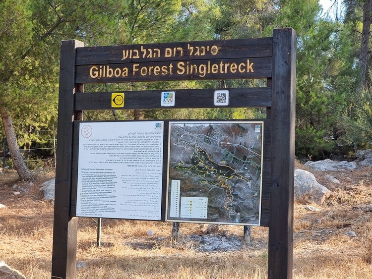 חניון נורית סינגל