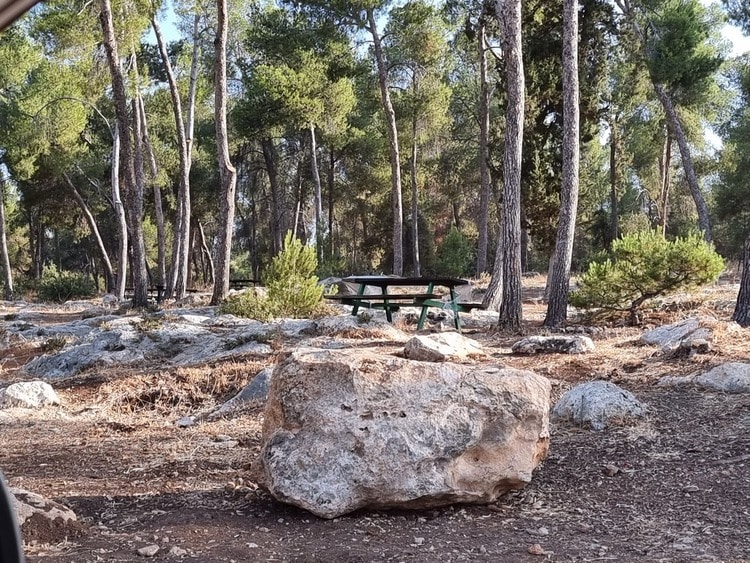 חניון נורית שולחנות פיקניק