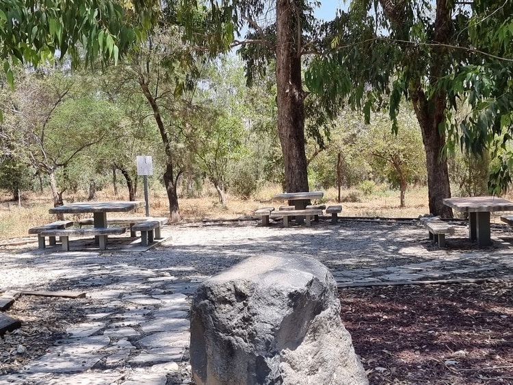 חניון פינת טל