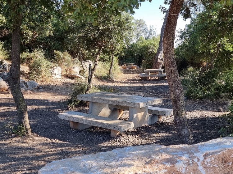 חניון פיתולים שולחנות פיקניק
