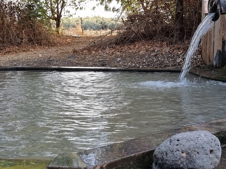 מעיין החמישה בריכת שכשוך