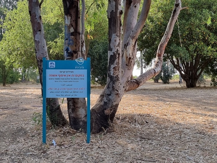 מעין תימנה הנחיות