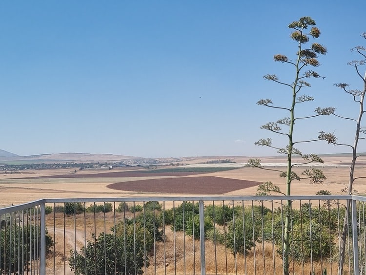 מצפה יוס ודוד שדות