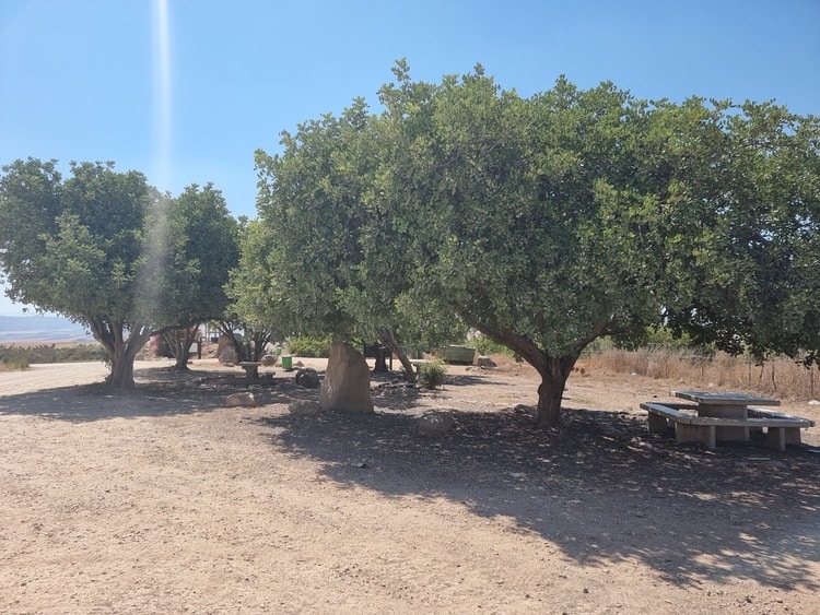מצפה יוס ודוד שולחנות פיקניק