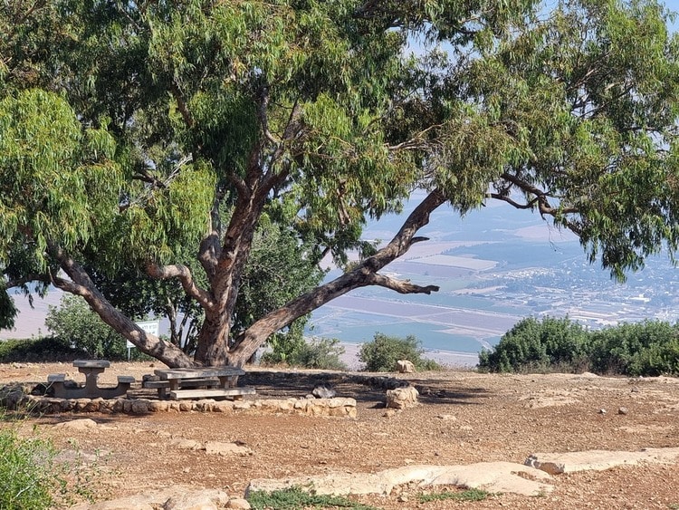 מצפור הר ברקן נוף
