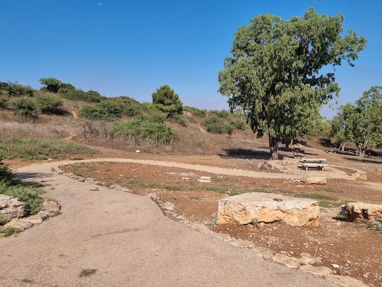 מצפור הר ברקן שביל