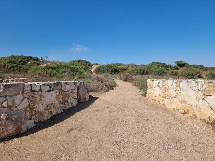 מצפור הר ברקן תחילת המסלול