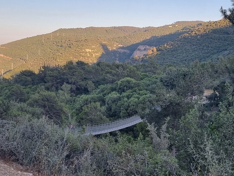 פארק נשר גשר תלוי נוף