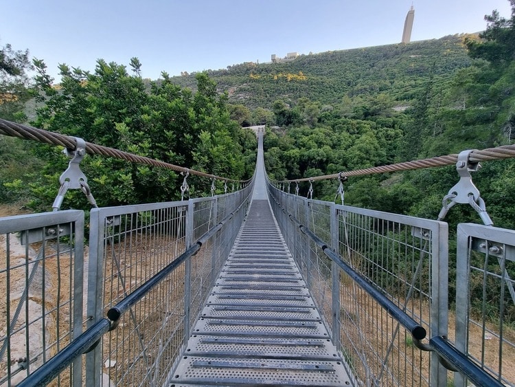 פארק נשר גשר תלוי