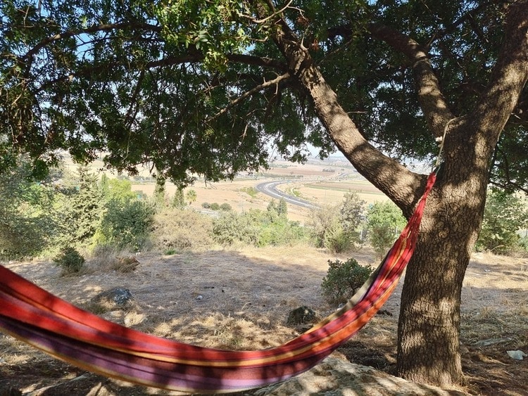 קפה על הקצה