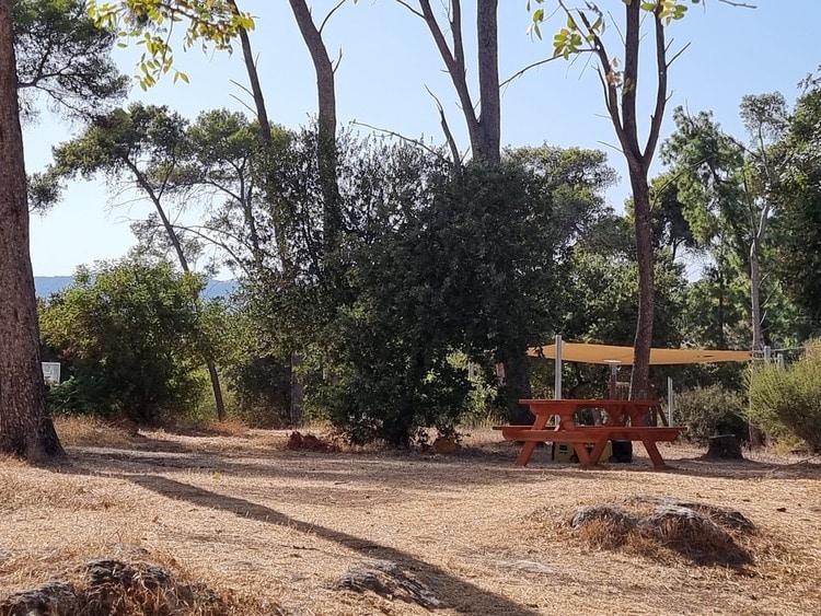 קפה על הקצה