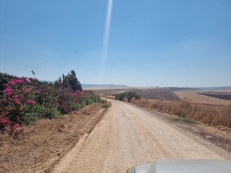 שלוחת צבאים מסלול