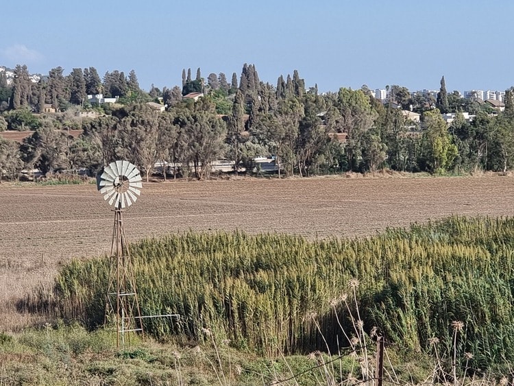 תל האבן שדות