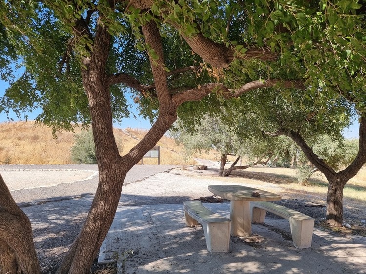 תל יוסף הישנה שולחנות פיקניק