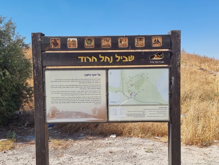 תל יוסף הישנה