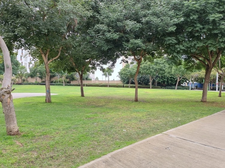 פארק ארגמן מדשאות