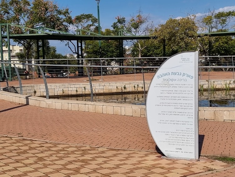 פארק גבעת האהבה בריכה אקולוגית