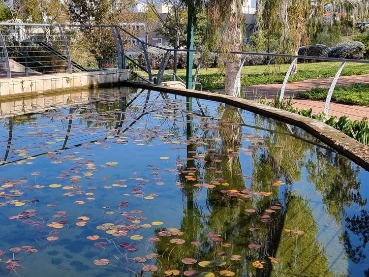 פארק גבעת האהבה