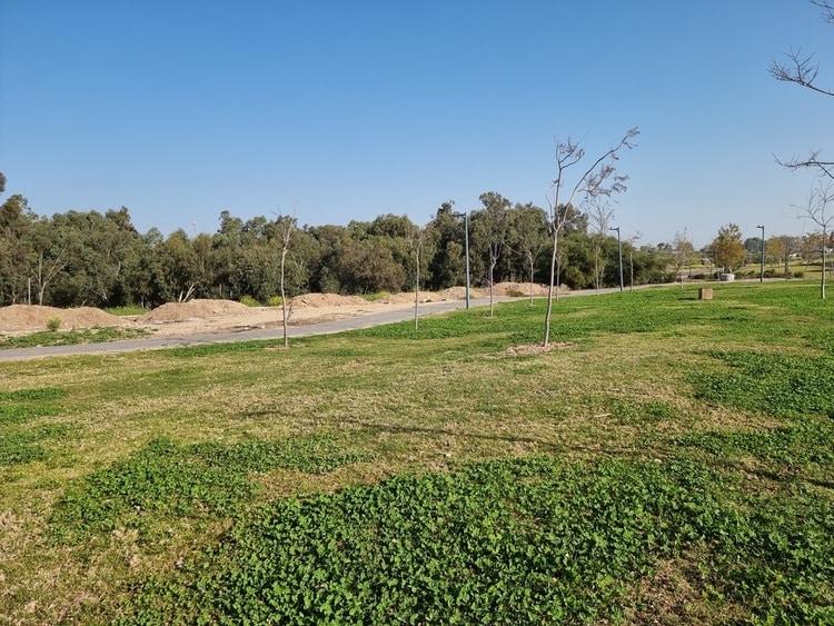 פארק לובה אליאב קרית גת דשא