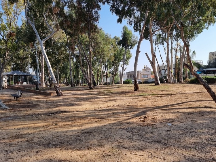 פארק נווה ארזים חורשה