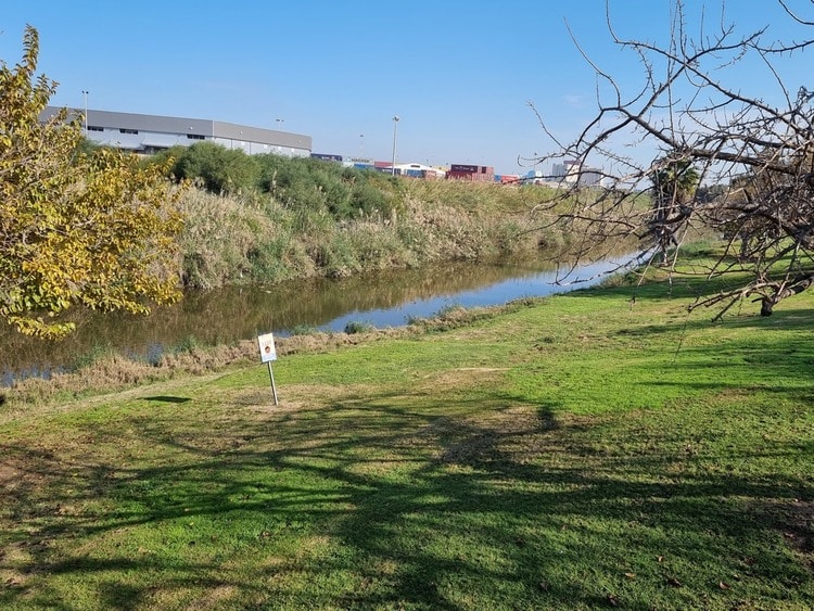 פארק נחל לכיש דשא