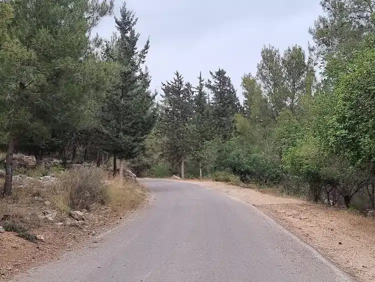 יער אחיהוד כניסה_