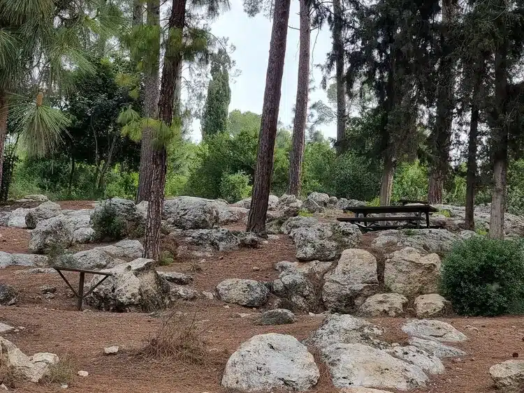 יער אשתאול